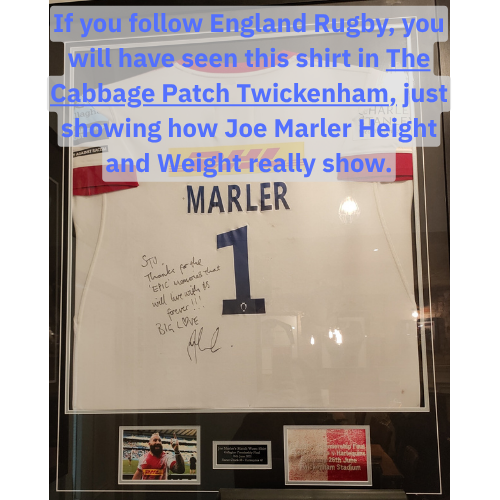 Shot of Joe Marler Shirt in the Cabbage Patch for Joe Marler Height and Weight